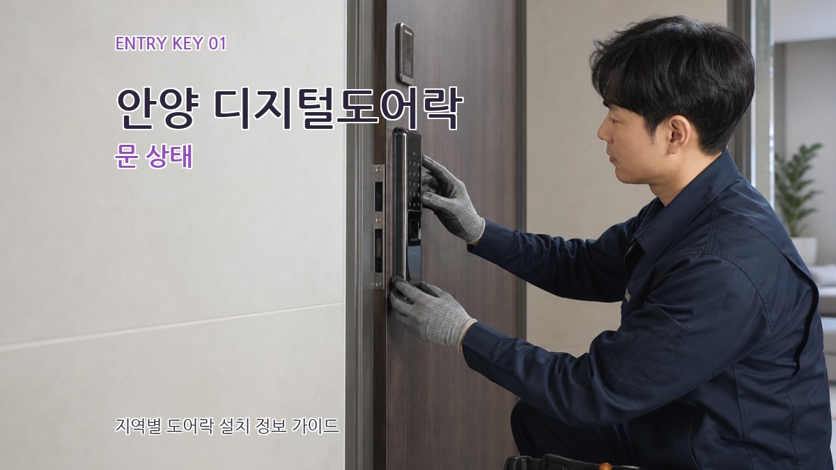 안양 디지털도어락